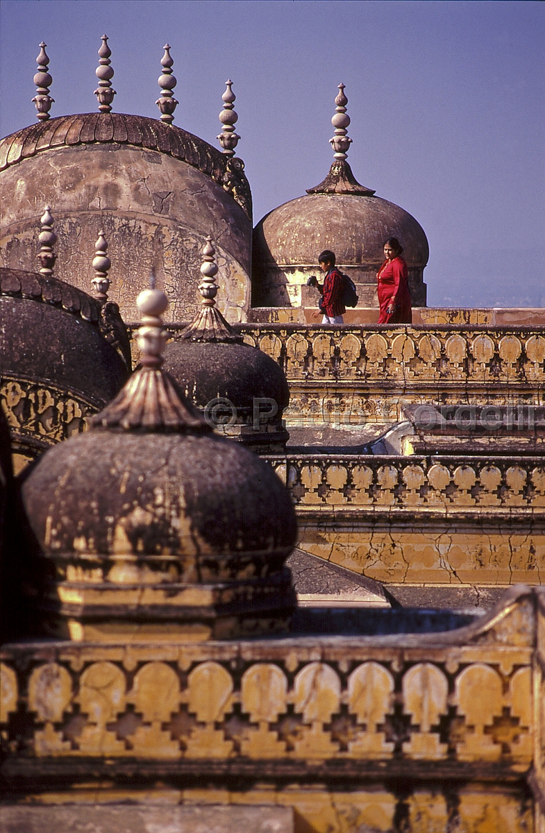 Rajasthan, India
(cod:India 35)